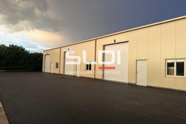 Bureaux A LOUER - VILLEURBANNE - 1 375 m²