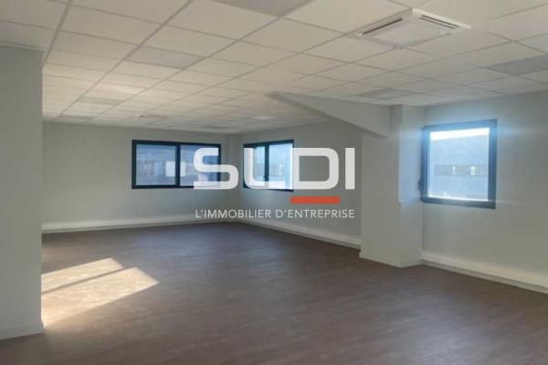 Locaux d'activités A VENDRE OU A LOUER - LA TOUR DE SALVAGNY - 246 m²