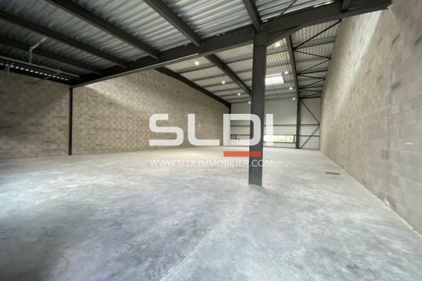 Locaux d'activités A LOUER - DAGNEUX - 1 129 m²