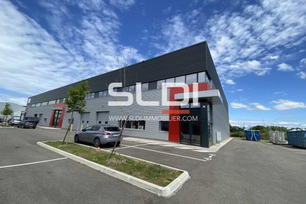 Locaux d'activités A LOUER - DAGNEUX - 1 129 m²