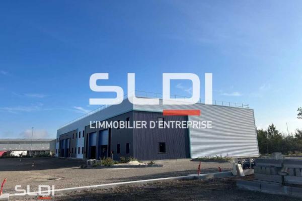Locaux d'activités A VENDRE OU A LOUER - SAINT VULBAS - 1 471 m²