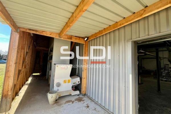 Locaux d'activités A VENDRE - DAGNEUX - 685 m²