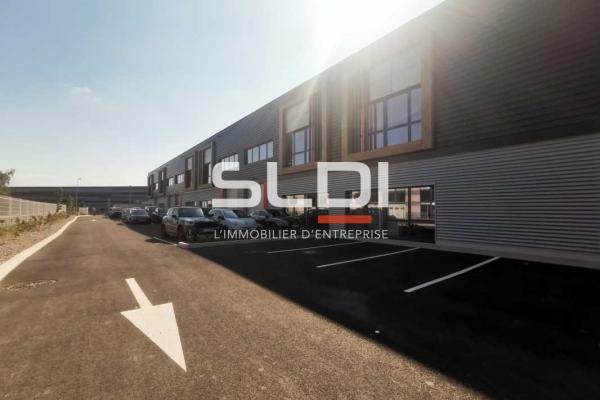 Activités A LOUER - SAINT QUENTIN FALLAVIER - 1 740 m²
