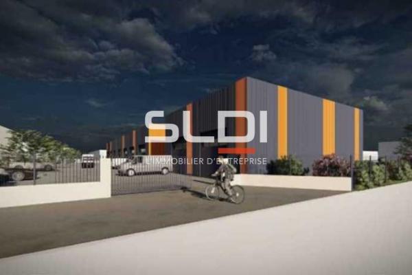 Activités A VENDRE - CHARVIEU CHAVAGNEUX - 506 m²