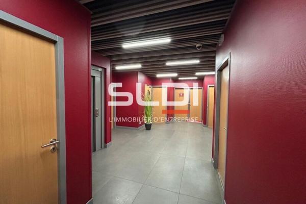 Bureaux A LOUER - CHAMPAGNE AU MONT D'OR - 1 069 m²