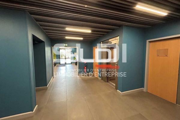 Bureaux A LOUER - CHAMPAGNE AU MONT D'OR - 1 069 m²