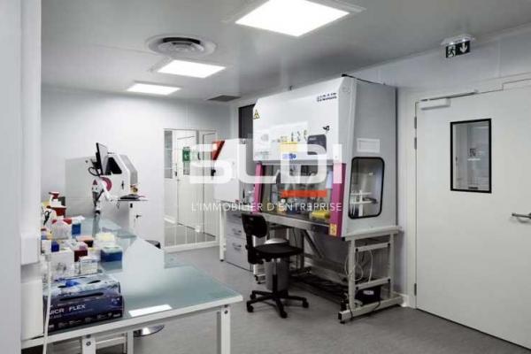 Bureaux A LOUER - LYON - 3 646 m²