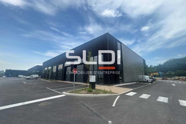 Locaux d'activités A VENDRE - TREVOUX - 521 m²