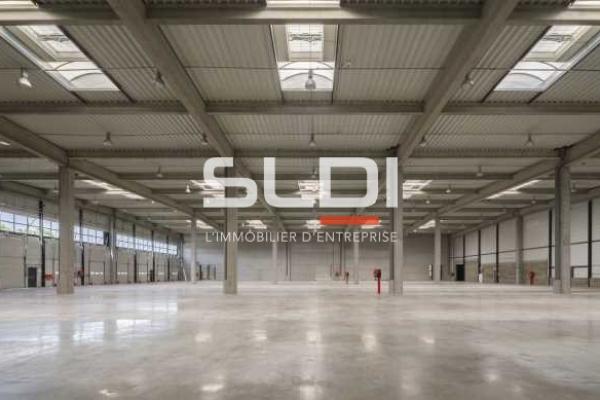 Locaux d'activités A LOUER - MIRIBEL - 9 623 m²