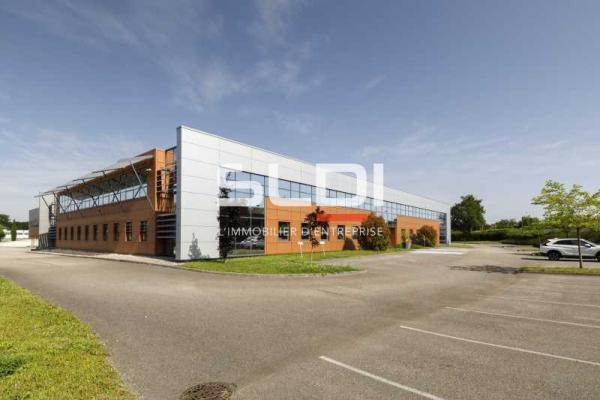Locaux d'activités A LOUER - MIRIBEL - 9 623 m²