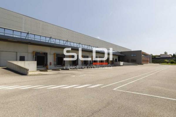 Activités A LOUER - MIRIBEL - 9 623 m²