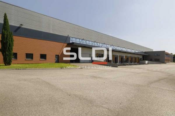 Locaux d'activités A LOUER - MIRIBEL - 9 623 m²