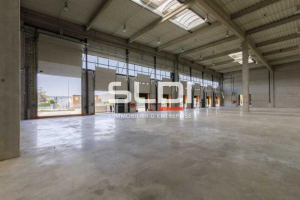 Locaux d'activités A LOUER - MIRIBEL - 9 623 m²