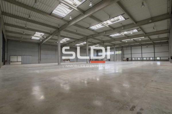 Locaux d'activités A LOUER - MIRIBEL - 9 623 m²