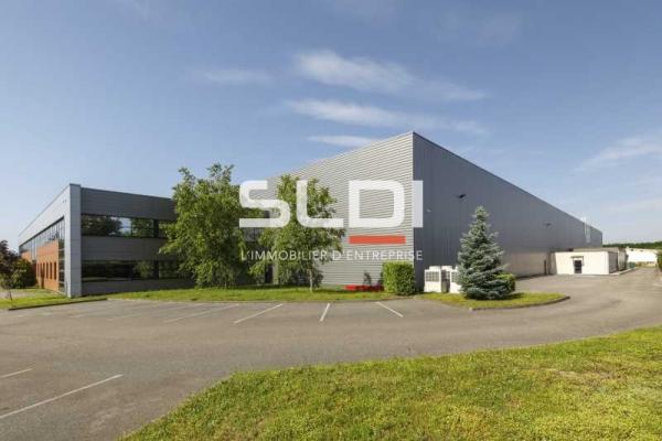 Locaux d'activités A LOUER - MIRIBEL - 9 623 m²