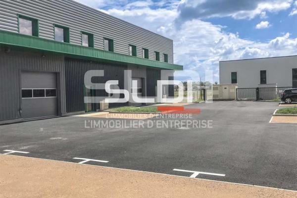 Activités A LOUER - TIGNIEU JAMEYZIEU - 230 m²