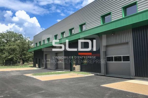 Activités A LOUER - TIGNIEU JAMEYZIEU - 230 m²