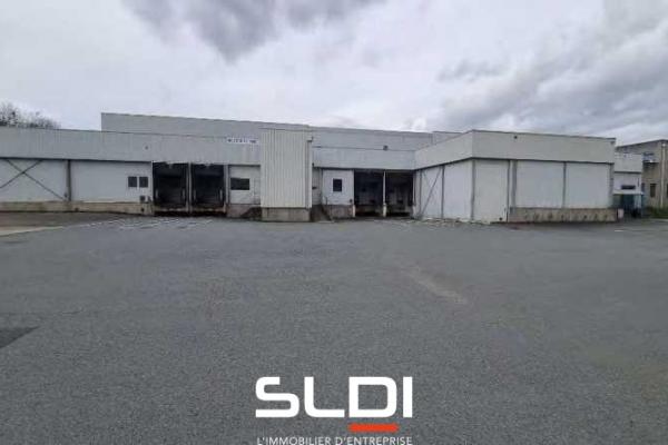 Locaux d'activités A VENDRE - CIVRIEUX D'AZERGUES - 8 555 m²