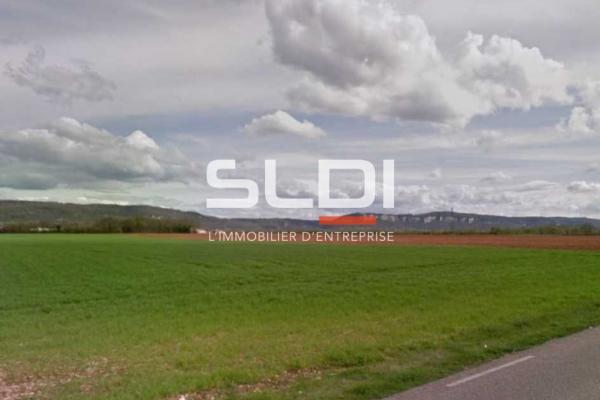 Terrains A VENDRE - VILLIEU LOYES MOLLON - 27 705 m²