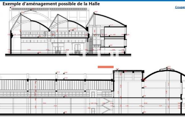 Activités A VENDRE - GIVORS - 4 387 m²