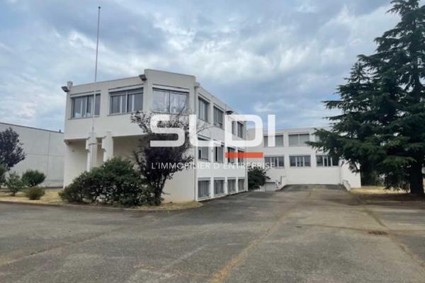 Bureaux A LOUER - CHASSIEU - 1 175 m²