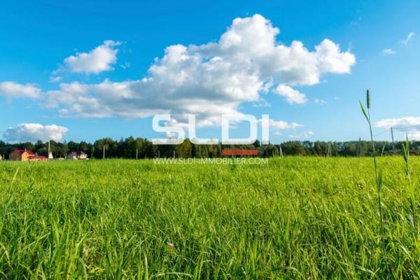 Terrains A VENDRE - Belleville-en-Beaujolais - 465 764 m²