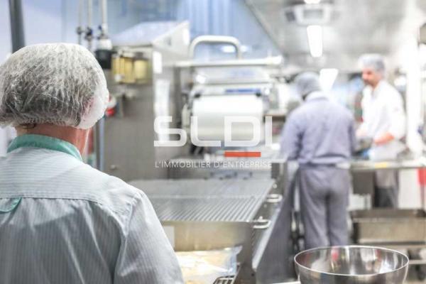 Bureaux A VENDRE OU A LOUER - DARDILLY - 248 m²