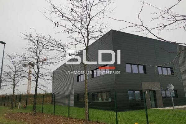 Locaux d'activités A LOUER - SAINT QUENTIN FALLAVIER - 1 016 m²