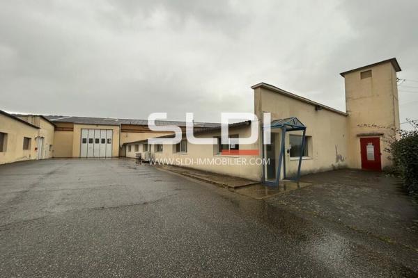 Locaux d'activités A VENDRE - JASSANS RIOTTIER - 4 185 m²