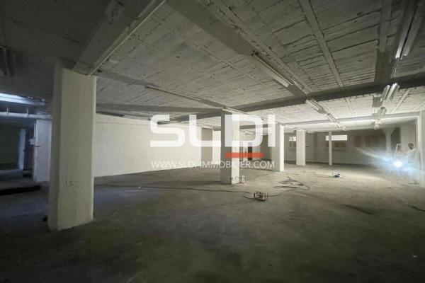 Locaux d'activités A VENDRE - VILLEURBANNE - 3 350 m²
