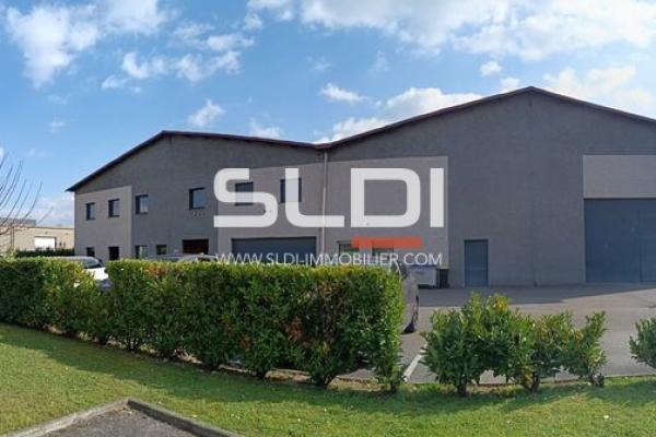 Locaux d'activités A VENDRE - DECINES CHARPIEU - 3 192 m²