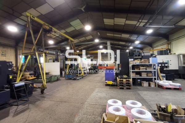 Locaux d'activités A VENDRE - BEAUVOIR DE MARC - 1 870 m²