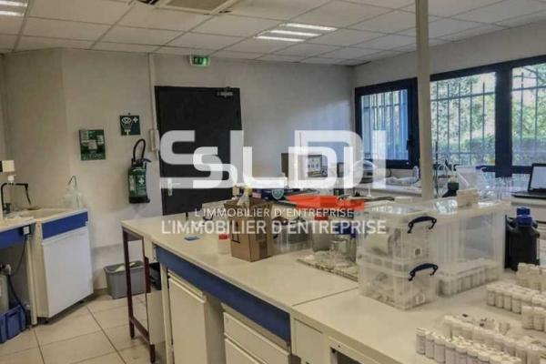 Activités A LOUER - BRON - 334 m²