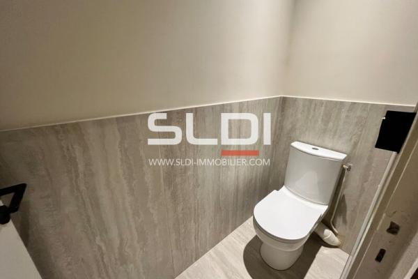 Bureaux A LOUER - LYON - 245 m²