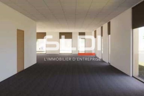 Activités A LOUER - RILLIEUX LA PAPE - 3 278 m²