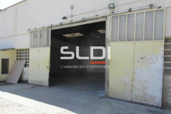 Activités A LOUER - FLEURIEU SUR SAONE - 164 m²