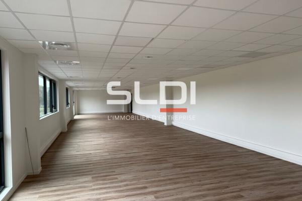 Locaux d'activités A LOUER - SAINT LAURENT DE MURE - 5 687 m²