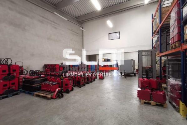 Activités A LOUER - SAINT QUENTIN FALLAVIER - 226 m²