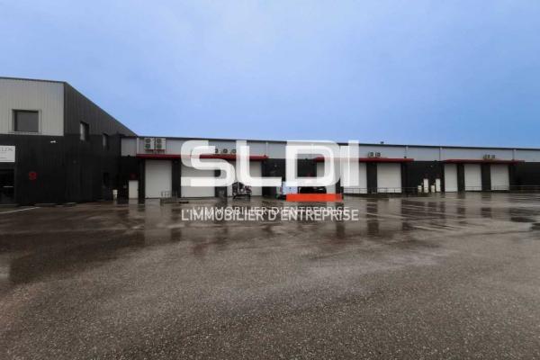 Locaux d'activités A LOUER - SAINT QUENTIN FALLAVIER - 226 m²