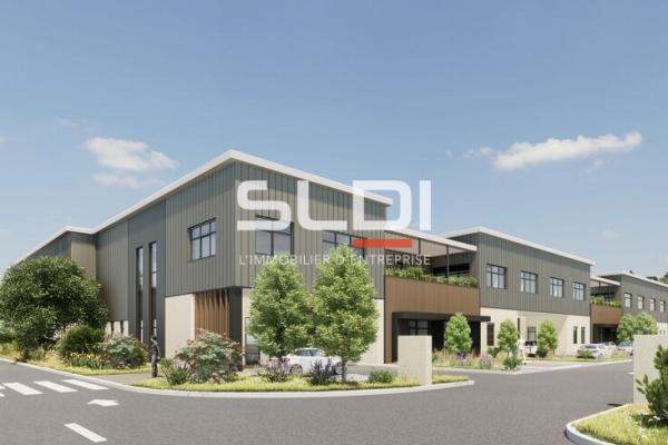 Locaux d'activités A LOUER - DECINES CHARPIEU - 5 267 m²