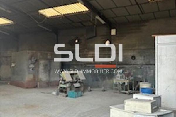 Locaux d'activités A LOUER - FLEURIEU SUR SAONE - 360 m²