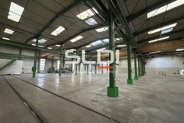 Activités A VENDRE OU A LOUER - JASSANS RIOTTIER - 7 883 m²