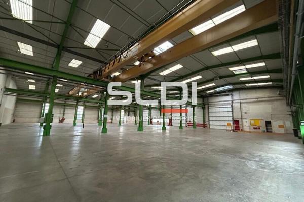 Activités A VENDRE OU A LOUER - JASSANS RIOTTIER - 7 883 m²