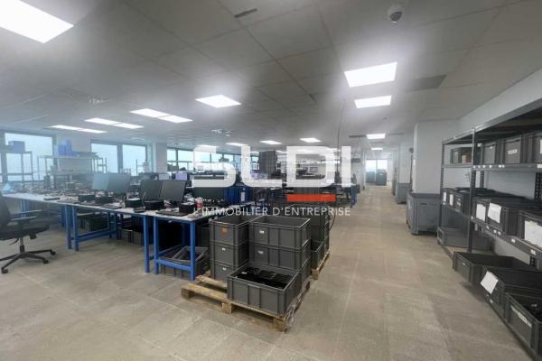 Activités A LOUER - CHAMPAGNE AU MONT D'OR - 355 m²