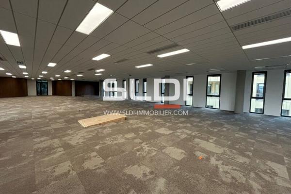 Bureaux A LOUER - LIMONEST - 5 998 m²