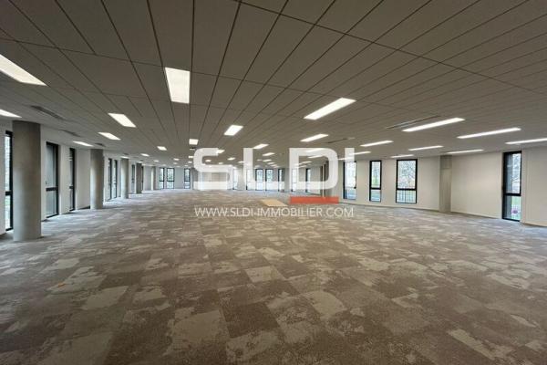Bureaux A LOUER - LIMONEST - 5 998 m²