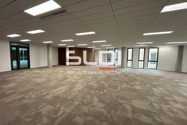 Bureaux A LOUER - LIMONEST - 5 998 m²