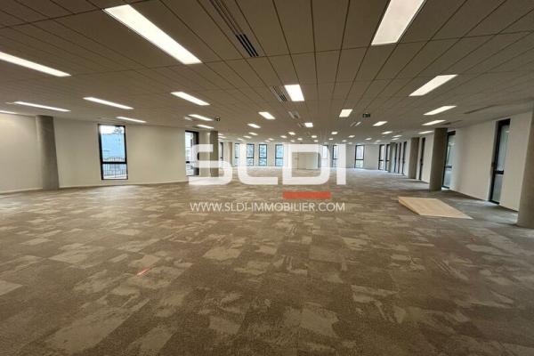 Bureaux A LOUER - LIMONEST - 5 998 m²