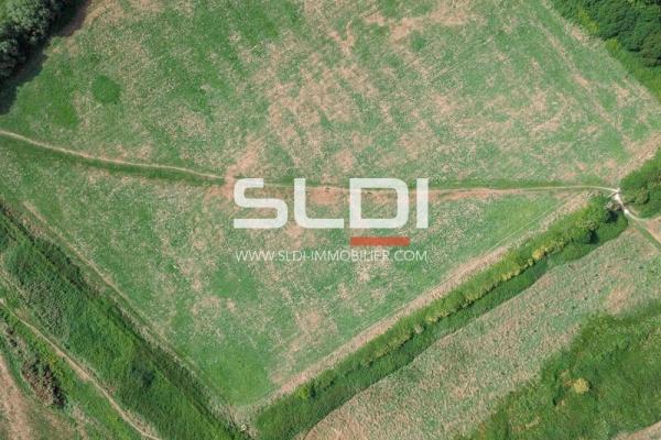 Terrains A VENDRE - SANCE - 15 000 m²