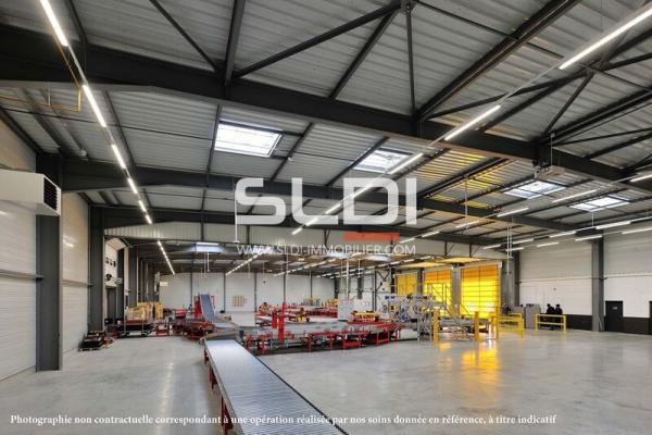 Locaux d'activités A VENDRE - ANSE - 12 000 m²
